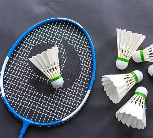 球迷们或许 球迷们或许